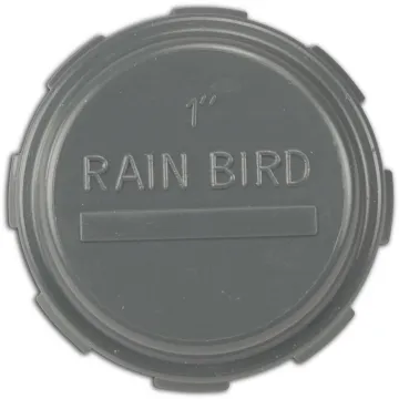 Rain Bird złączka Zaślepka PVC 1" GW 10bar szary