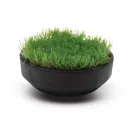 Rain Bird 11000 Sod Cup tworzywo sztuczne